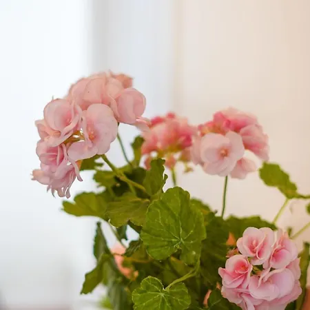 דירה Casa Da Avo Toninha By Quantique